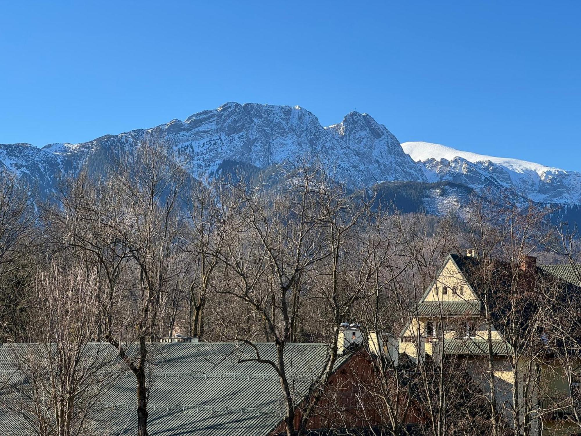 Dafne Zakopane Bed & Breakfast Eksteriør bilde