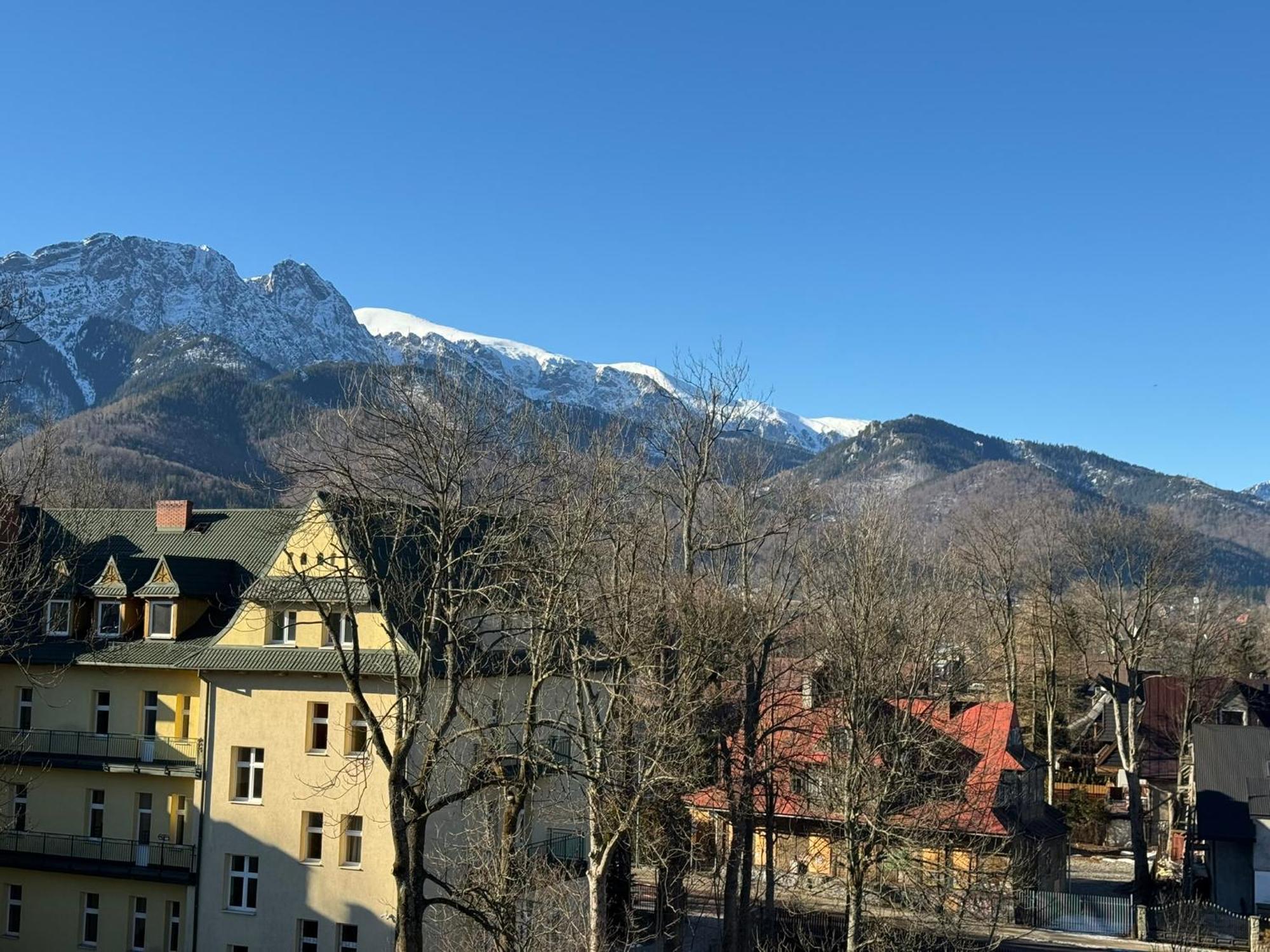 Dafne Zakopane Bed & Breakfast Eksteriør bilde